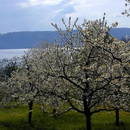 Gaestehaus St. Martin 3* Sipplingen